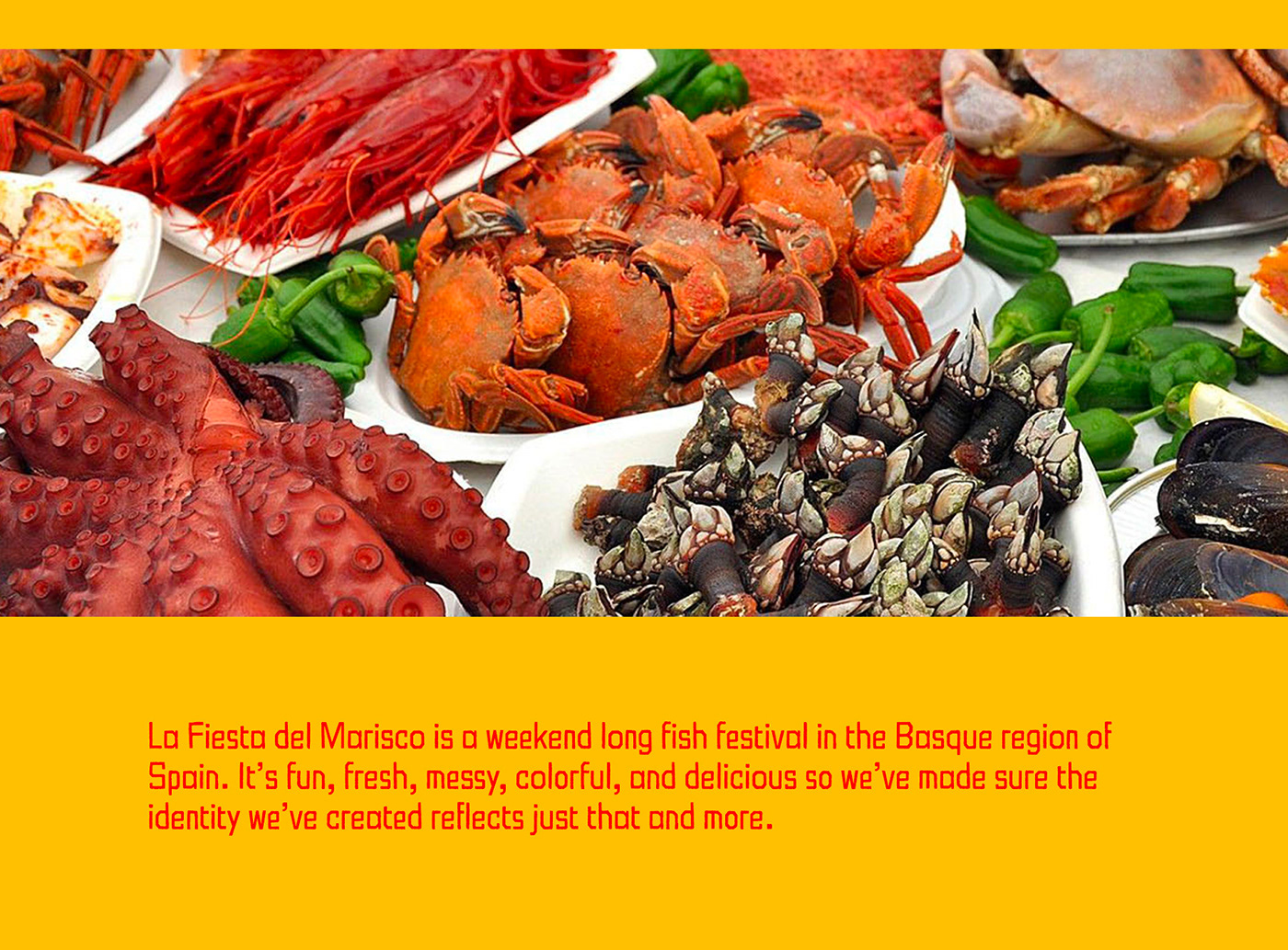 brand identity branding  fish FISH FESTIVAL Food  food festival graphic design  Illustrator Packaging photoshop