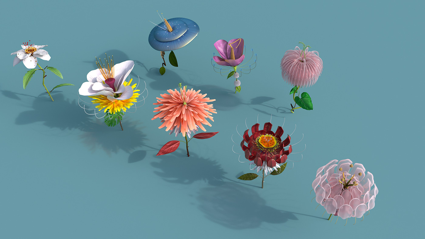 AR 3D flower app Flowers animation  bloom Nature polinations UK