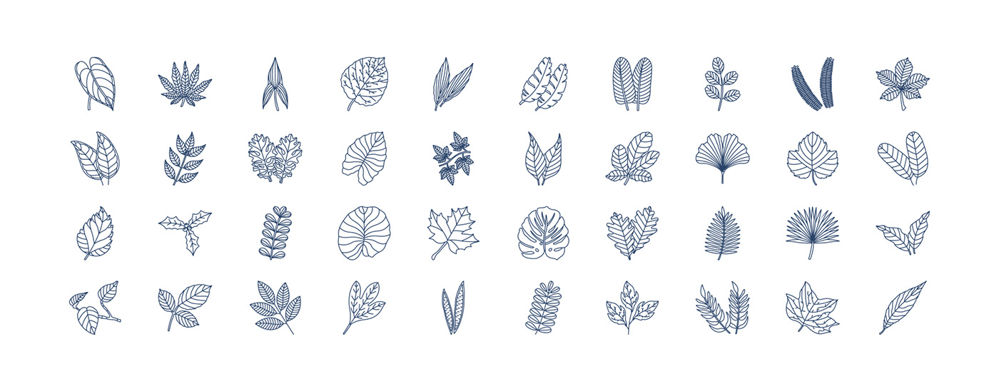 butterfly icon design  iconography icons set leaf illustration leaves pattern print textile vector icon