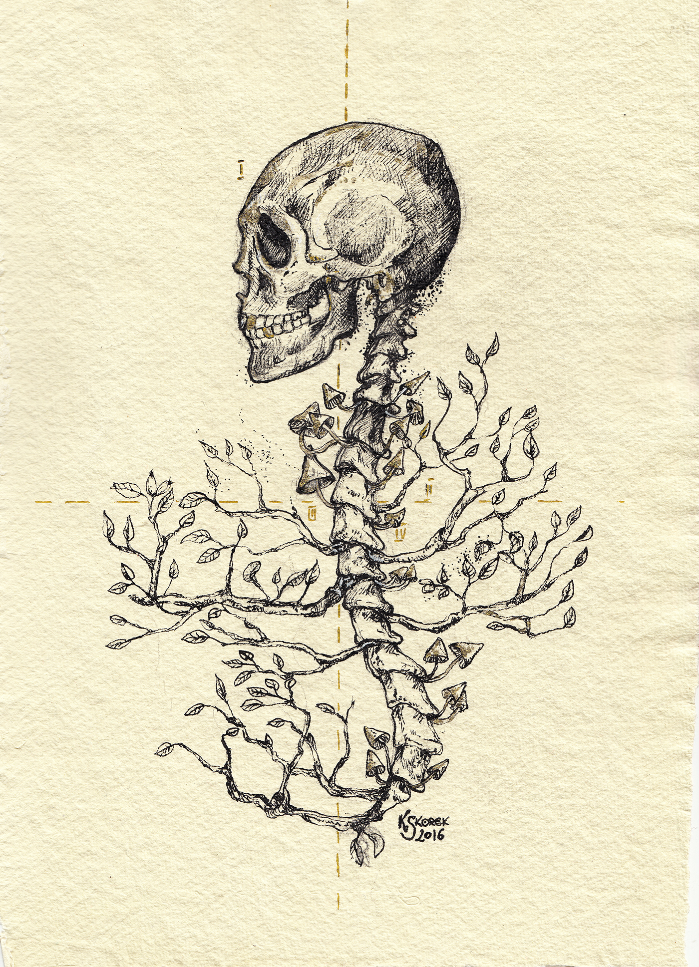 ink ILLUSTRATION  Mushrooms psychodelic