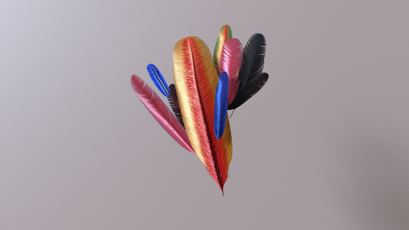 CG things birds feathers digitalart motion ArtDirection damiansendin