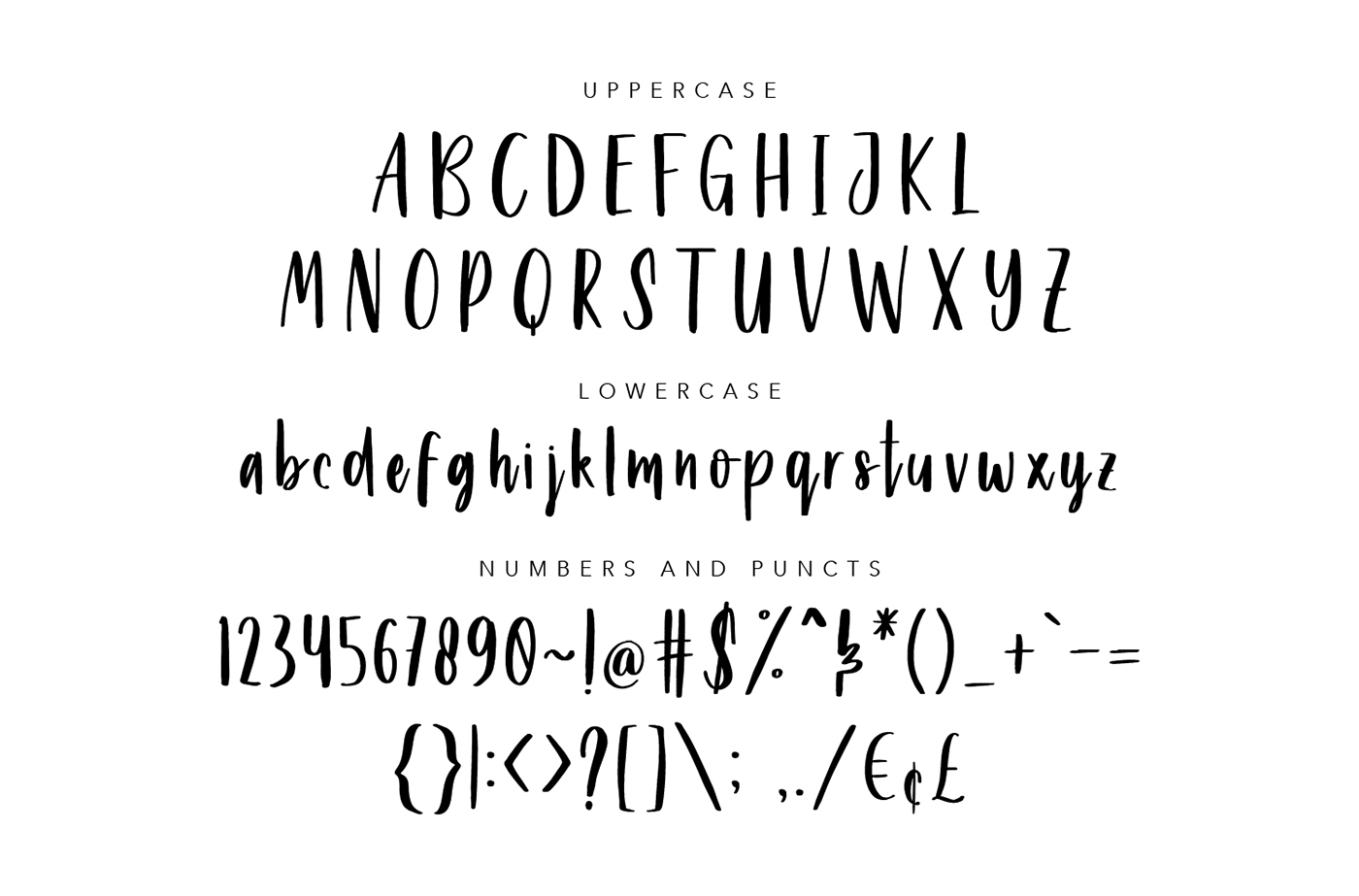 free Free font font fonts download bundle Typeface lettering logo branding 