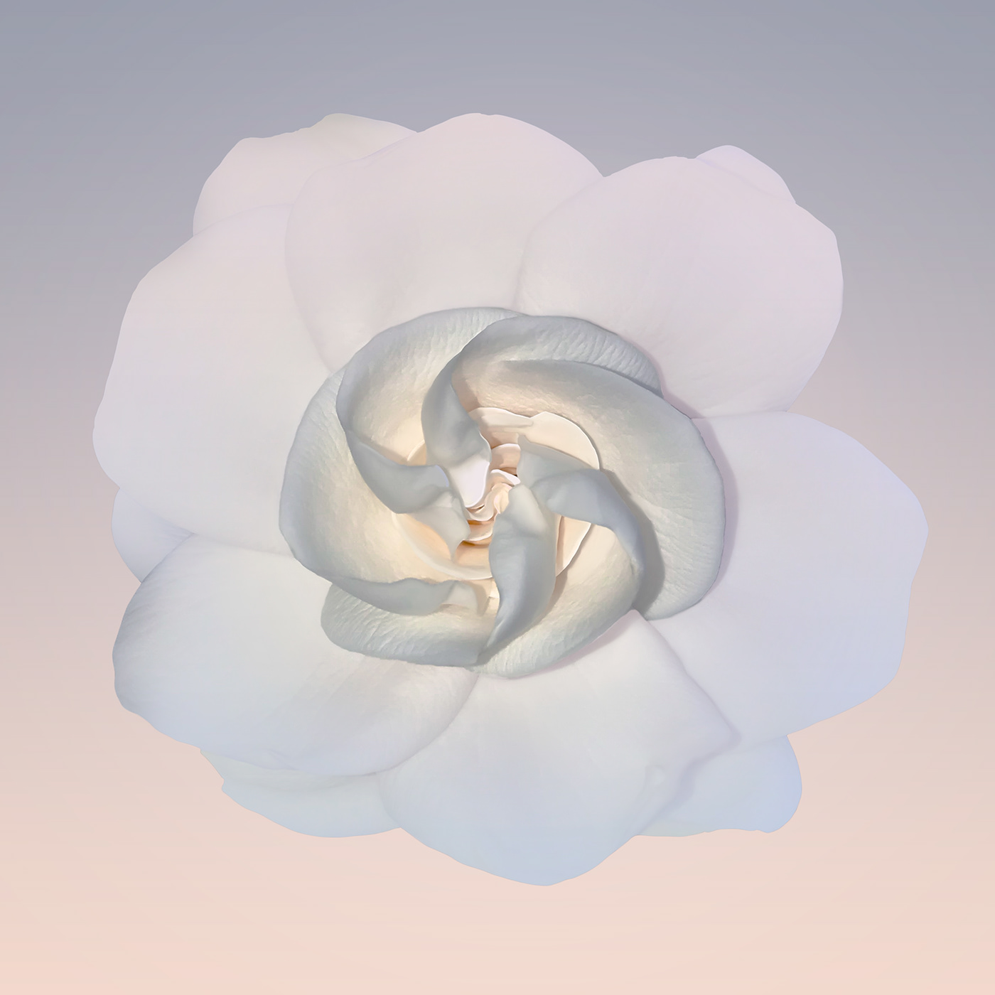 Yoga spirit flower Neutral minimal