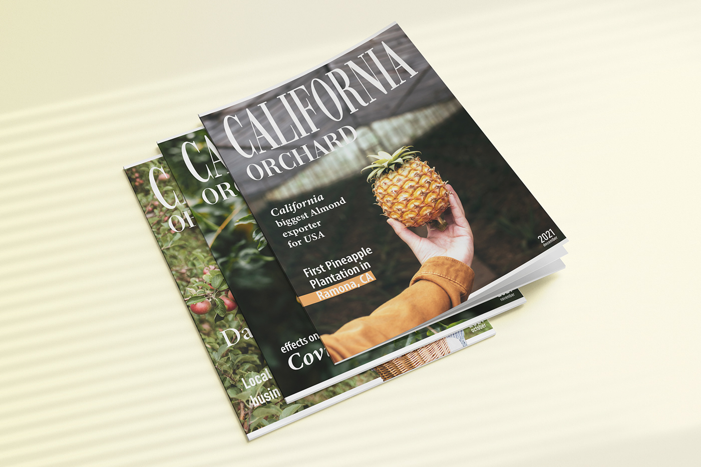 California magazine Magazine Cover magazines typography  