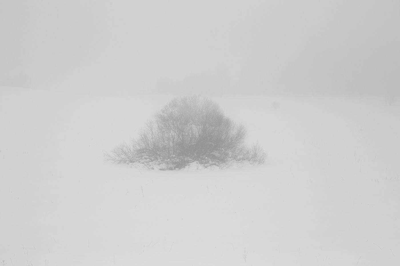 lietuva lithuania Landscape winter minimal Minimalism Mindaugas Buivydas fog