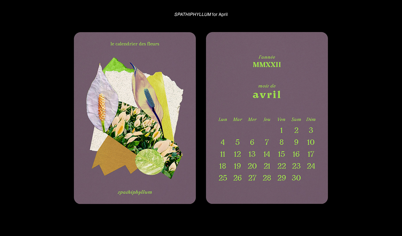 calendar Calendar 2022 collage Flowers flowers illustration plants illustration postcard