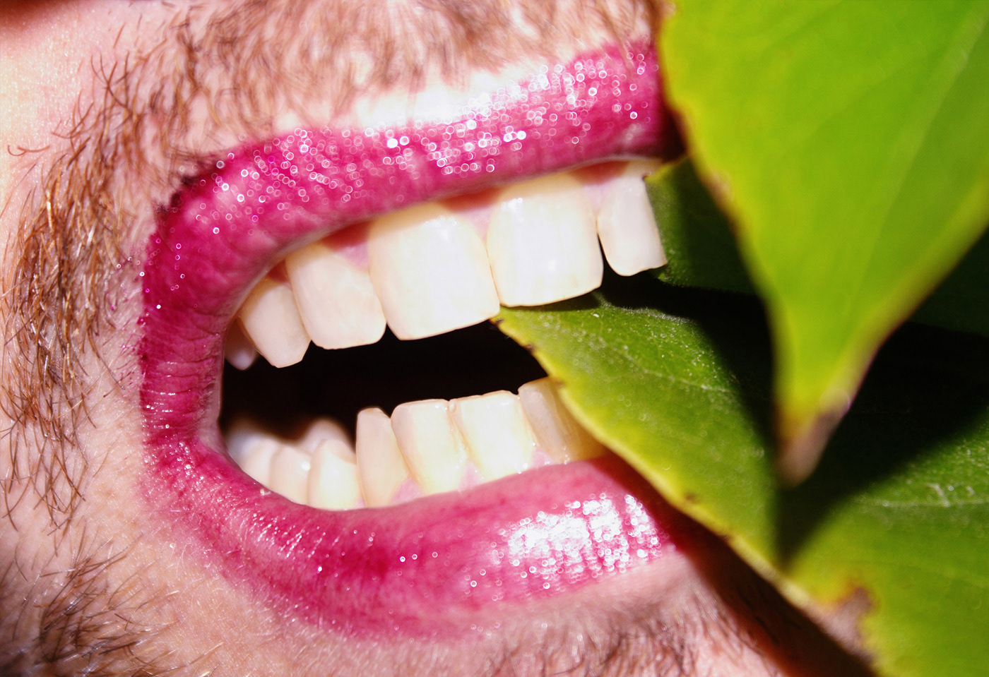 Mouth lips dental Nature Photography  bio plantes vegetal macro TRAVESTIS