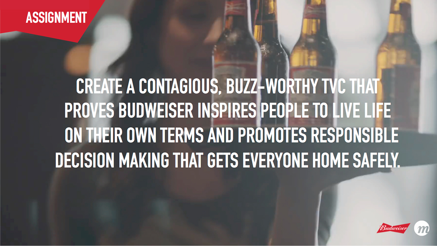 TV script Budweiser beer responsible