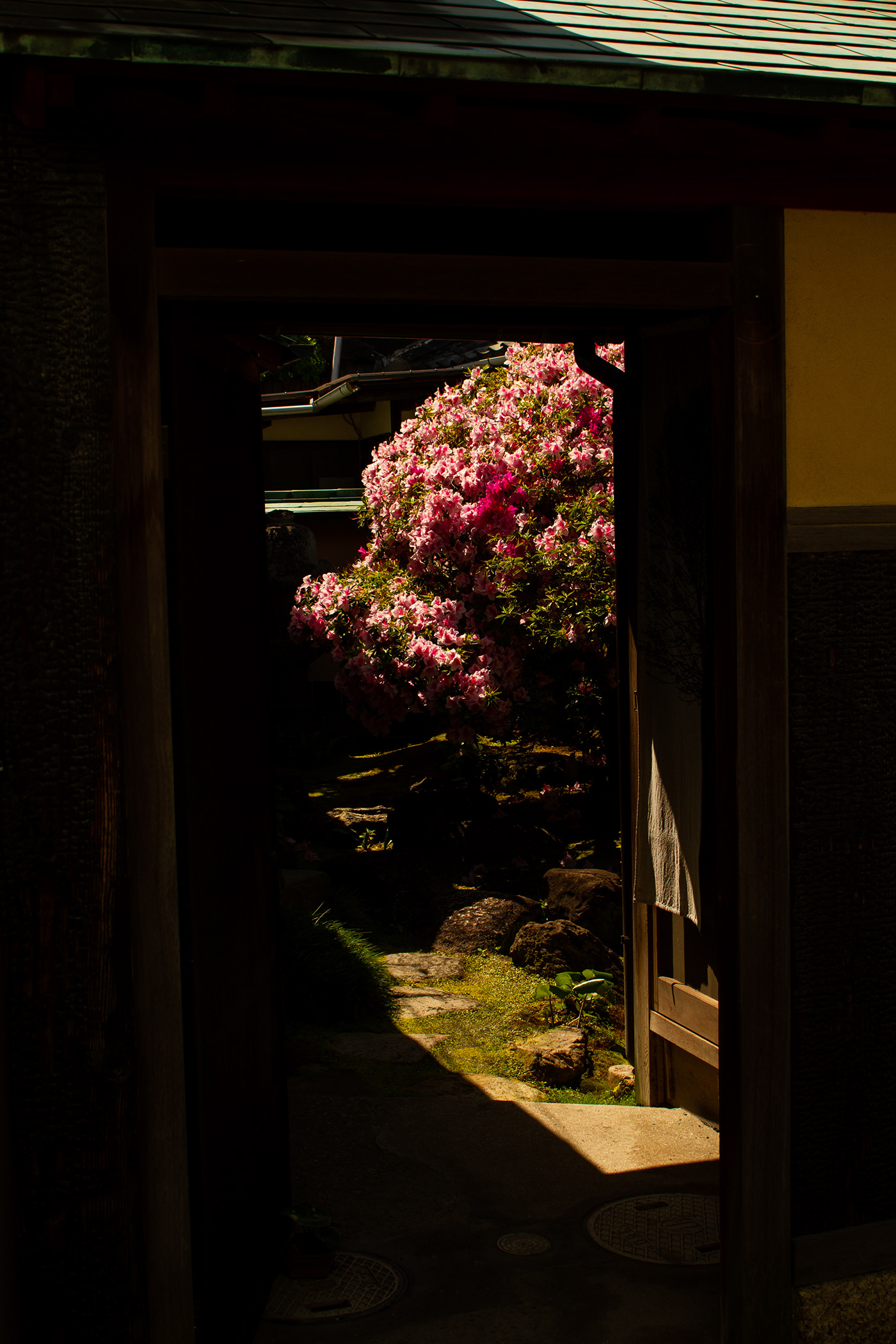 Canon culture japan kagawa lightroomclassic naoshima Photography  traditional Travel trip