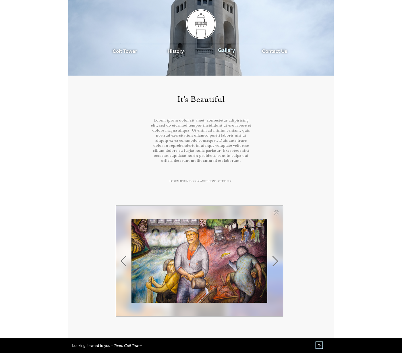 coit tower website Website Design