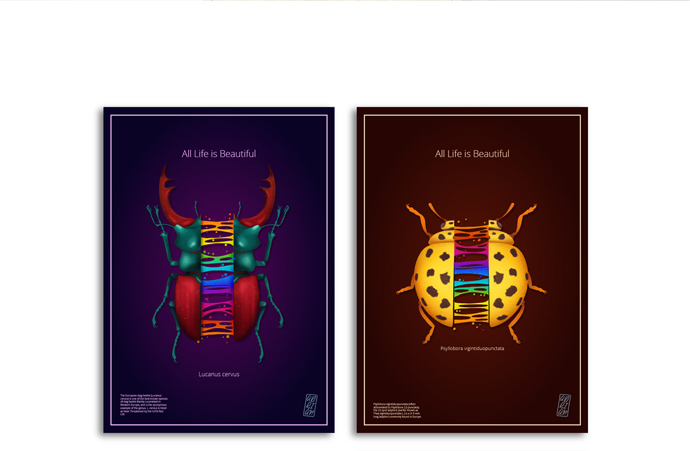 animated art artwork bugs colorful art graphics illustrated ILLUSTRATION  motion poster