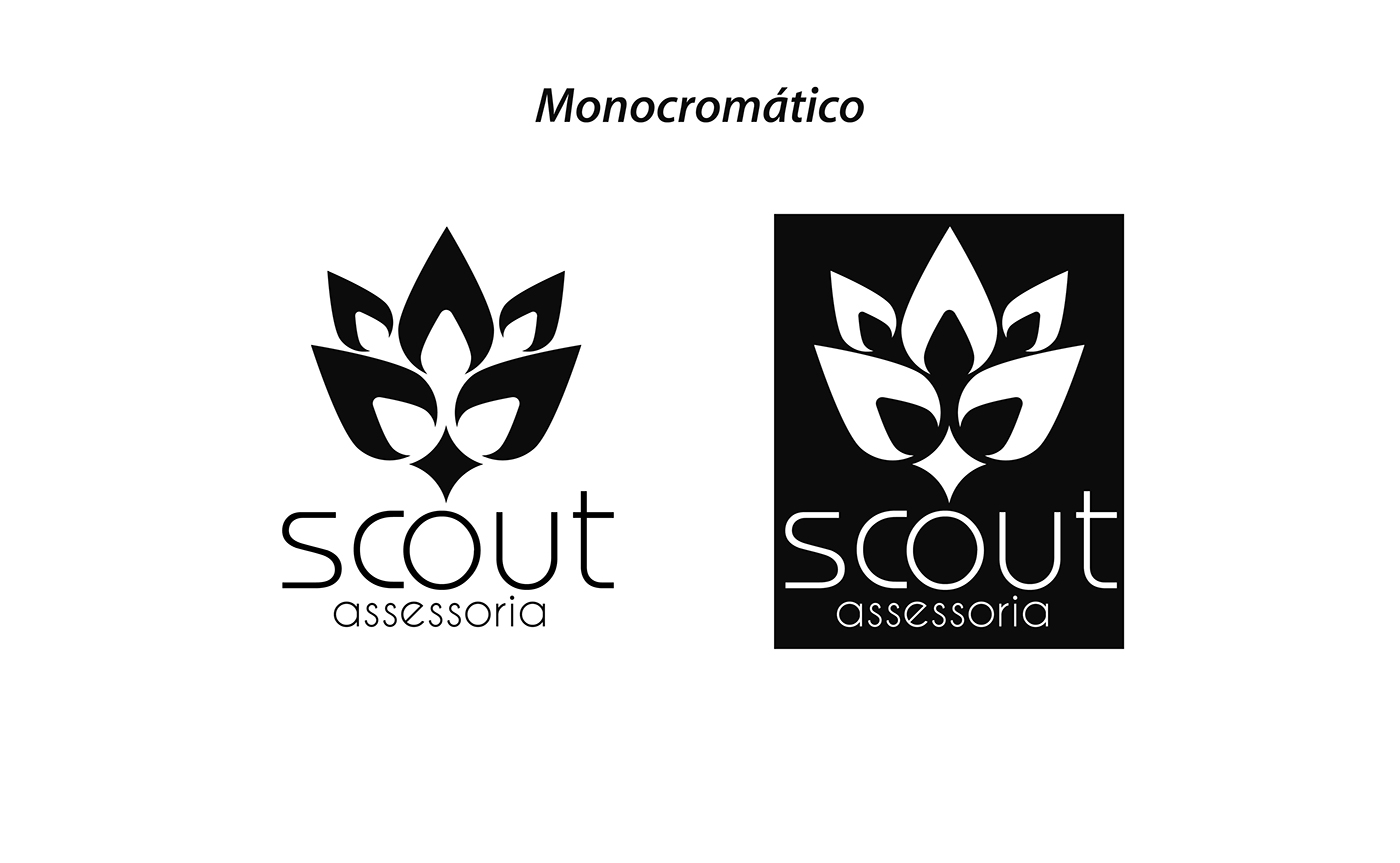scoutassessoria scout webguidesign webgui saopaulo SP Brasil
