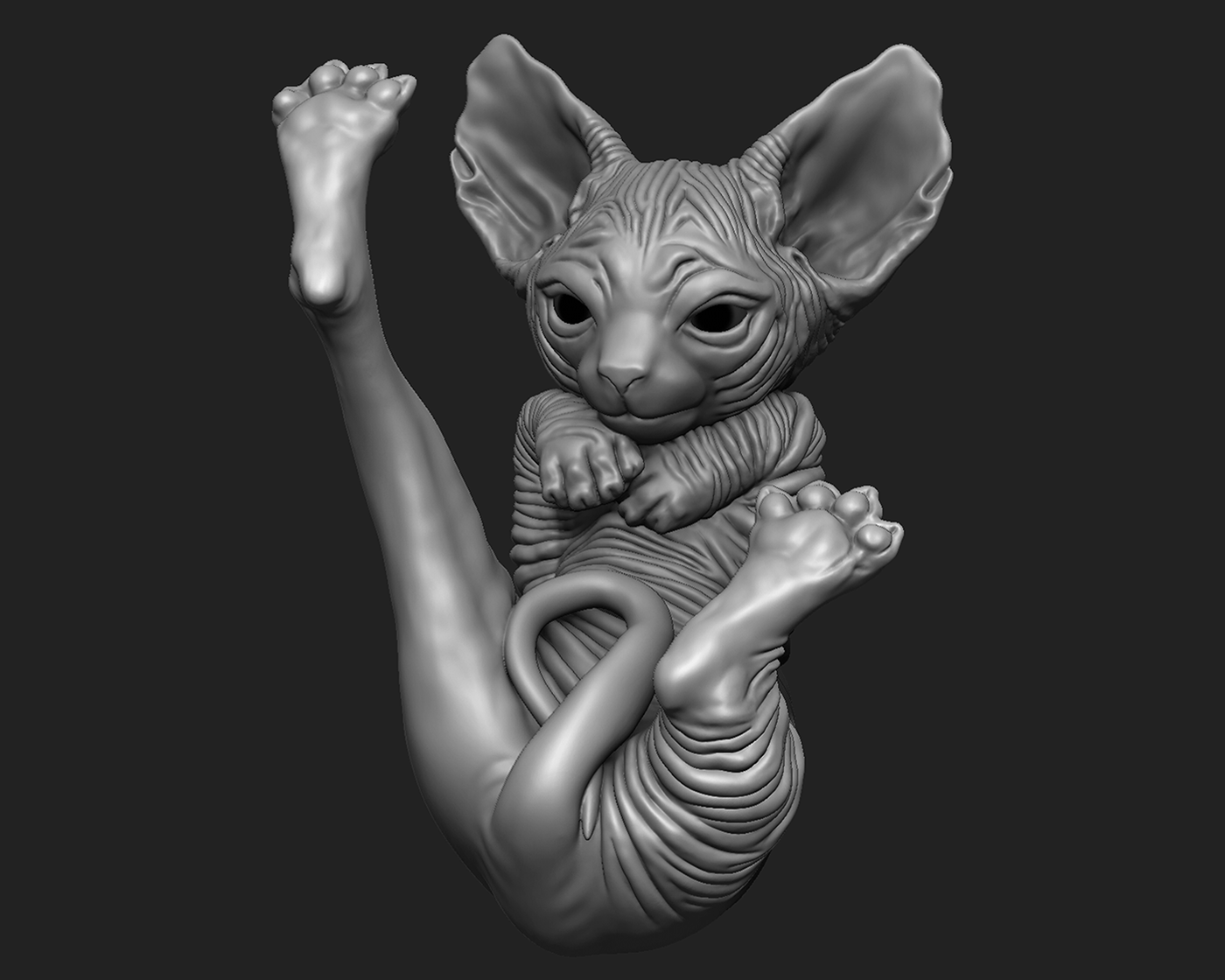 Cat sphynx cat Zbrush sculpture 3D blender animal kitten cats sphynx