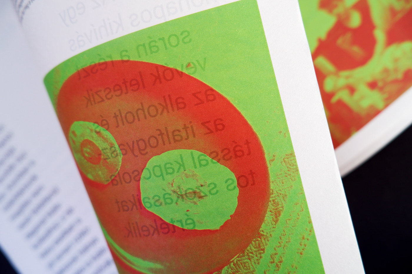 book Brutalism Brutalist editorial editorial design  Layout Layout Design magazine Photography  typography  
