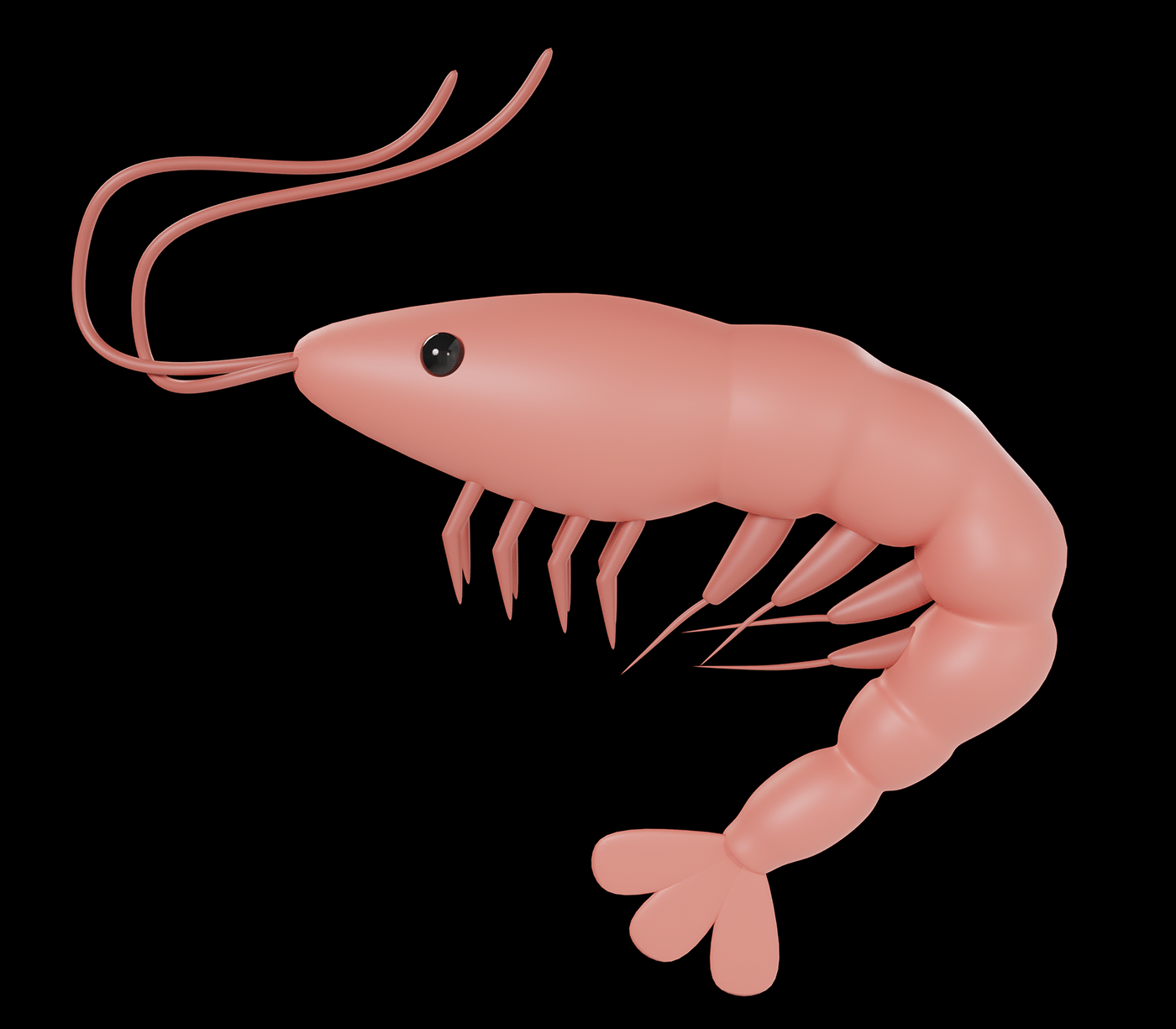 3d shrimp illustration