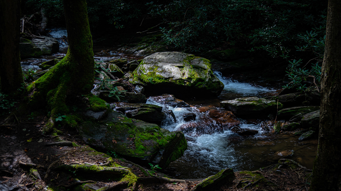 explore Georgia hiking Nature Photography  usa wander water waterfall