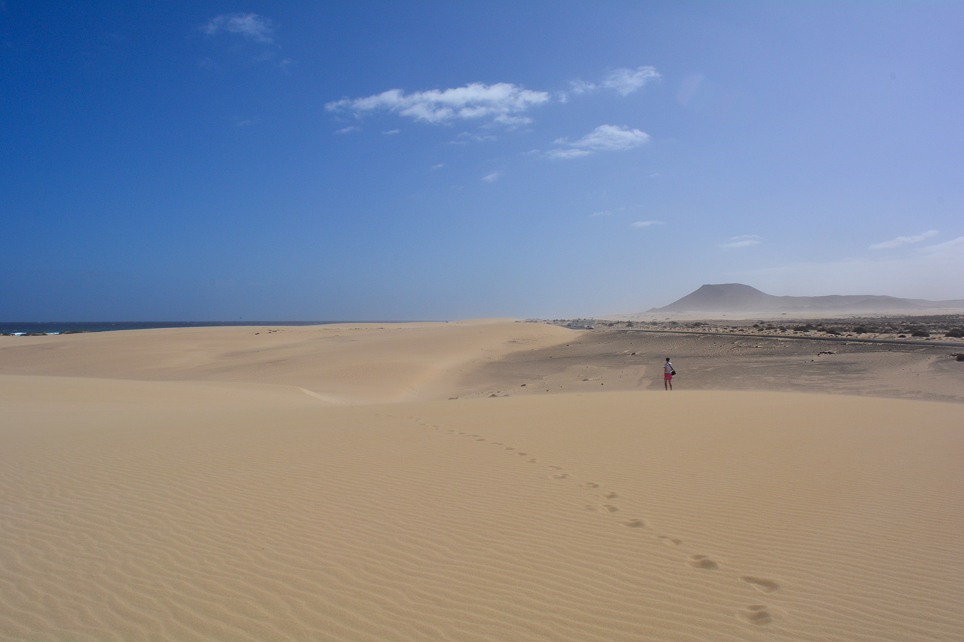 beach Photography  Ocean Nature dunes Landscape lightroom landscape photography Travel desert
