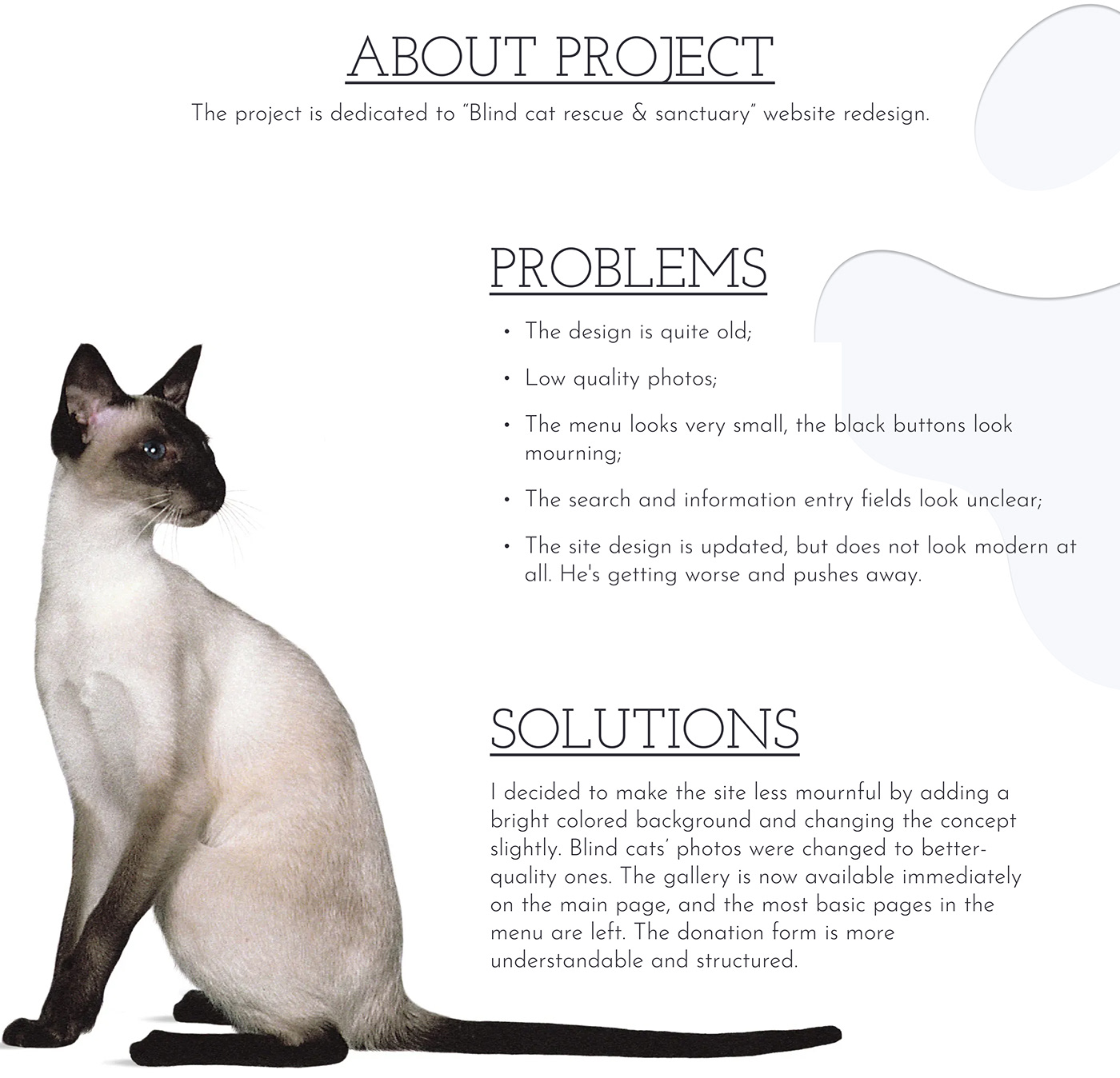 animal UI/UX ui design redesign redesign website Web Design  Cat