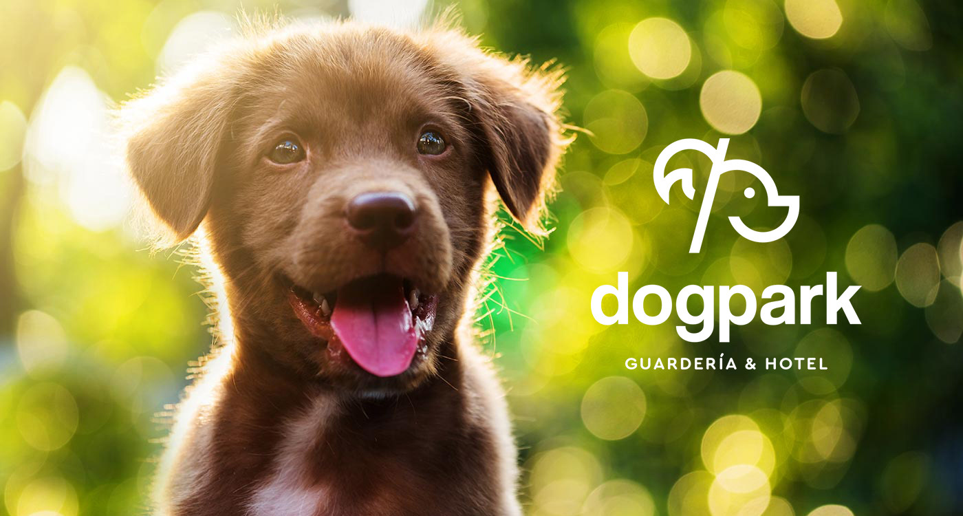 logo Rebrand branding  brand Pet dog marca Logotype Logotipo pet shop