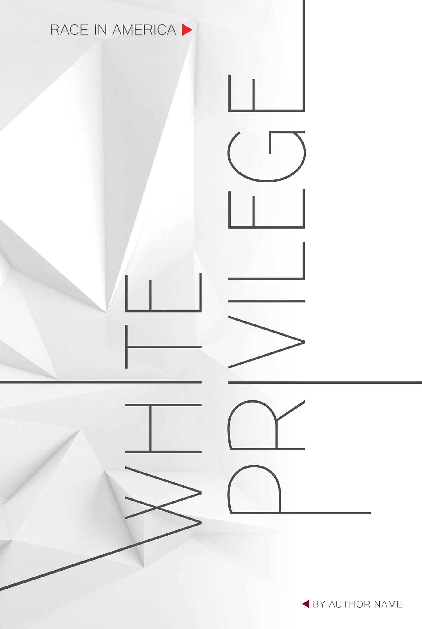 race racism america white privilege graphic design  book design book cover publishing   educational