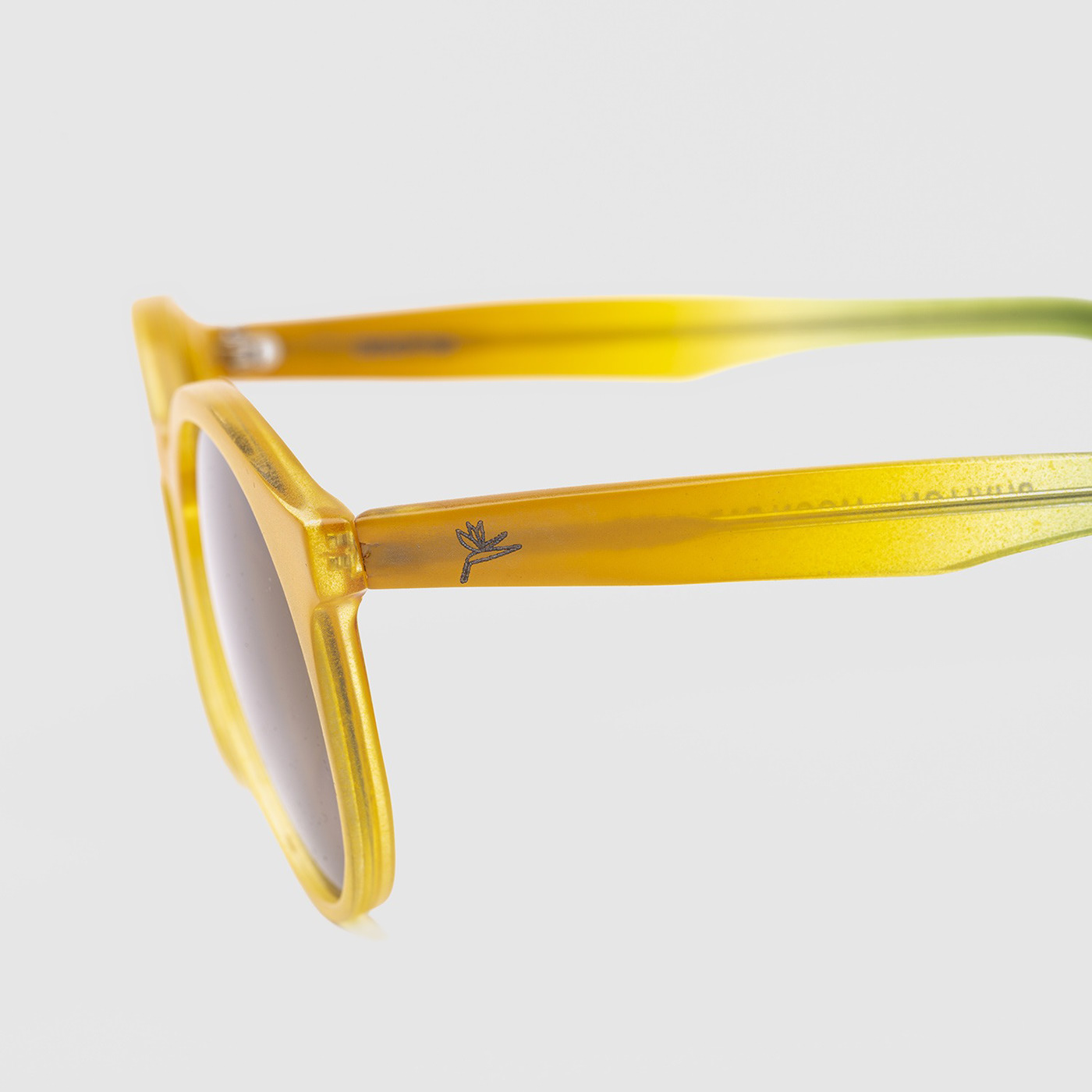 eyewear inhotim eyeglasses gradient botanical Fashion  Sunglasses