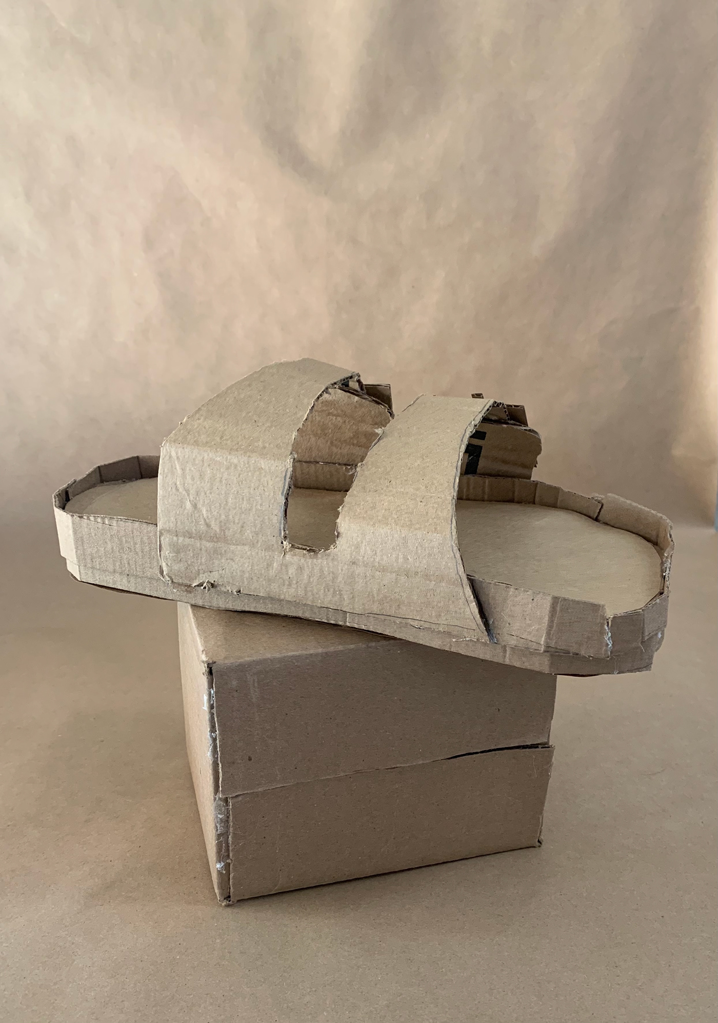 cardboard prototype birks