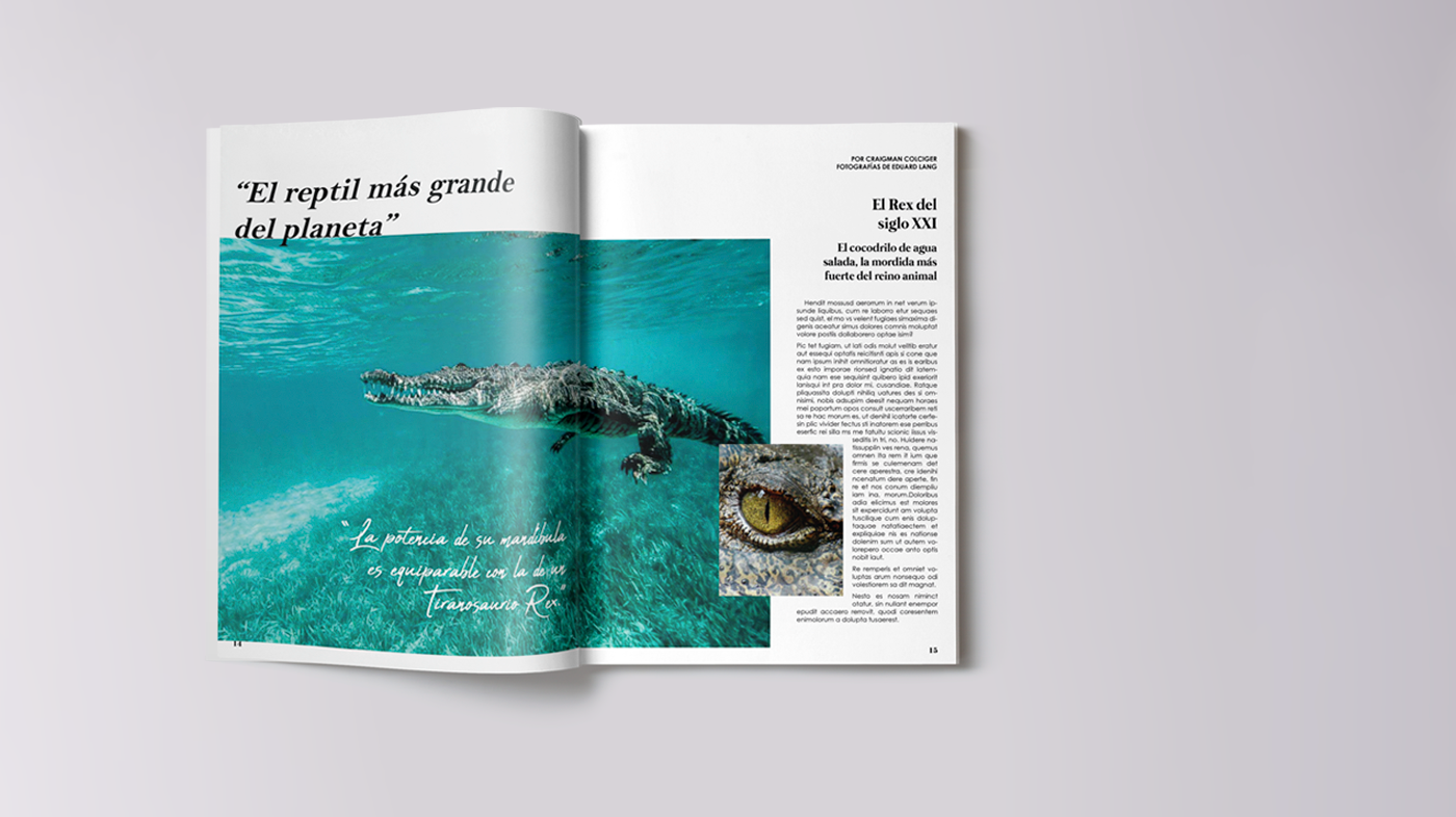 Diseño editorial diseño gráfico diseño grafico editorial maquetación revista