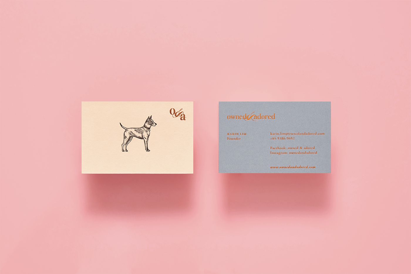 Anagrama anagramastudio mexico design branding  Pet Packaging collars identity pink