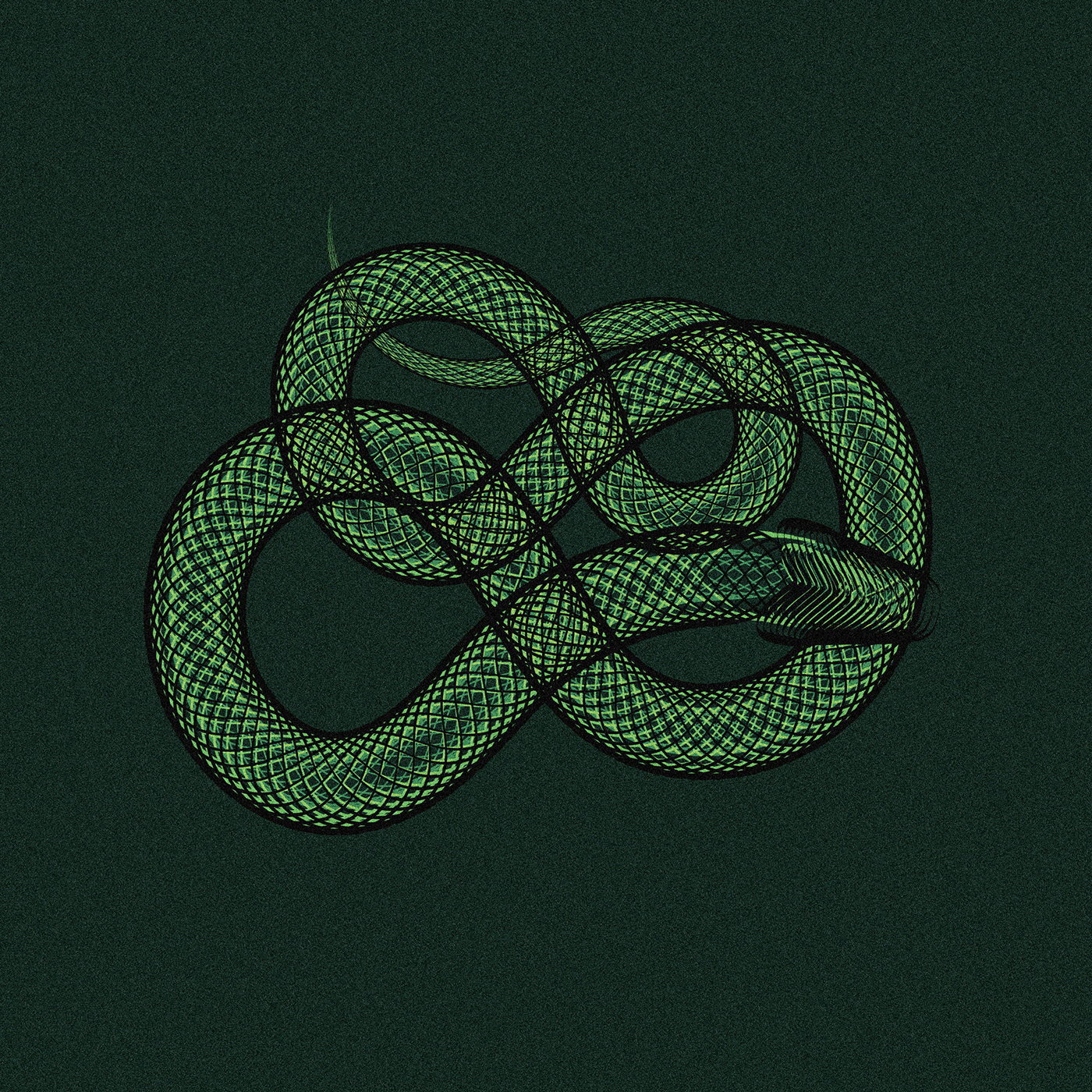 #animals #minimalism #moire #nature #pattern #snakes