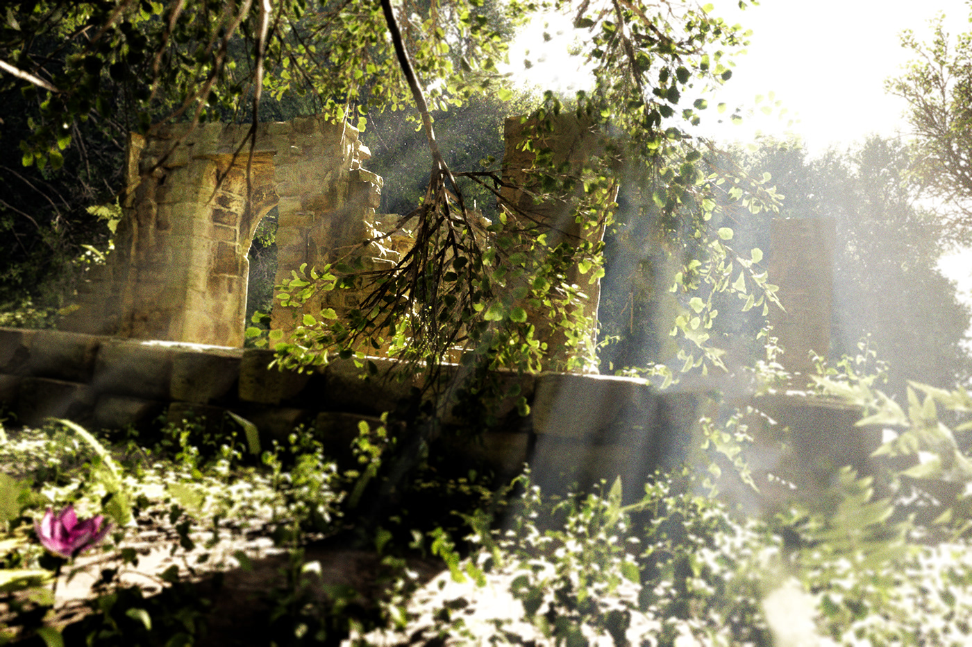 Unreal Engine 5 forest vfx Level Design Landscape Design green cinimatography