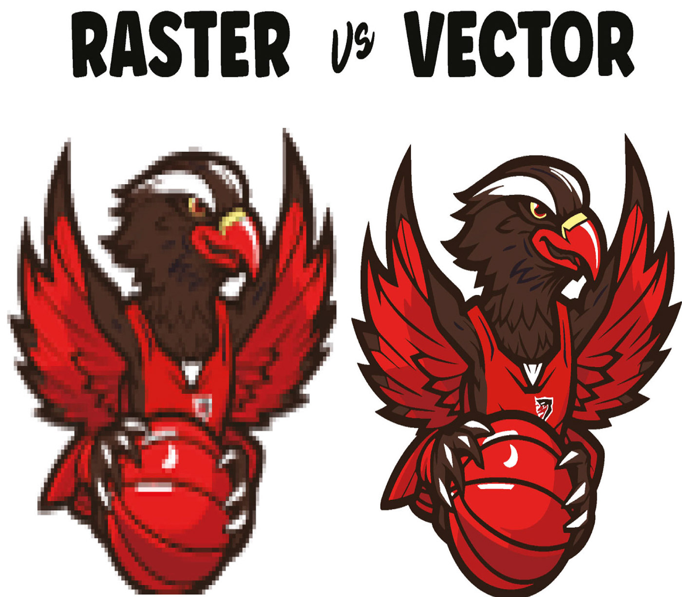 ILLUSTRATION  vector art redesign vector tracing vectorize tracing raster to vector