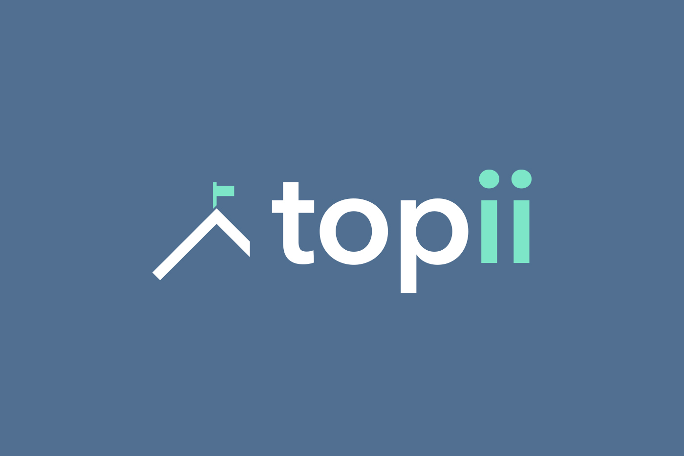 CV top Topii interview prep career advice
