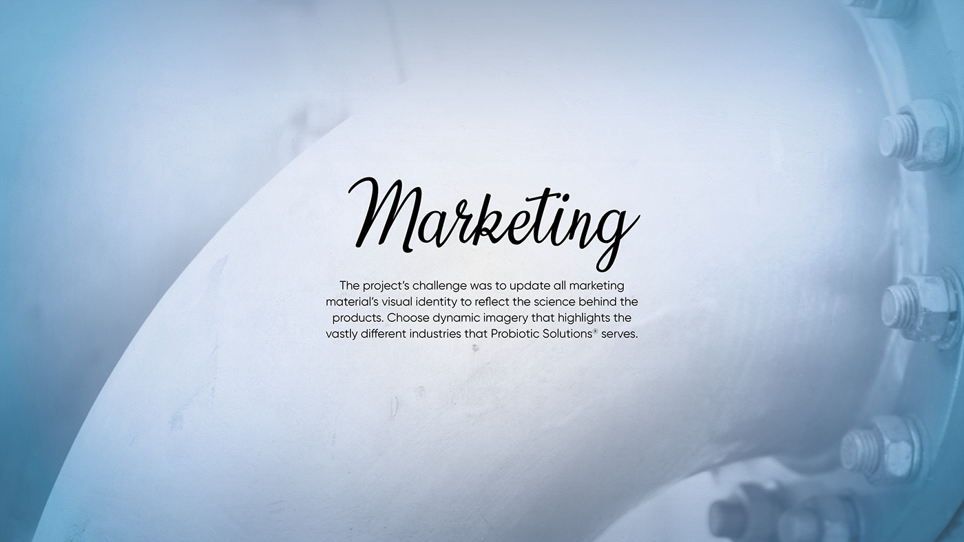 brand identity catalog graphic design  InDesign Layout marketing   Packaging photoshop viedo editing