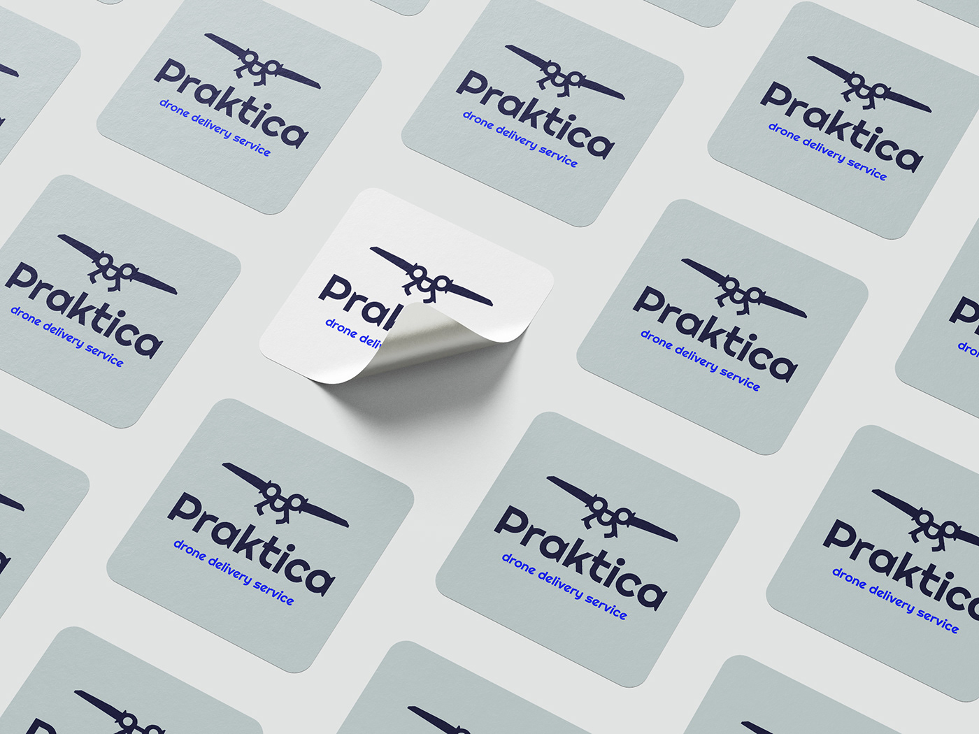 Brand Design brand identity delivery drone logo Logo Design logos typography   vector visual identity