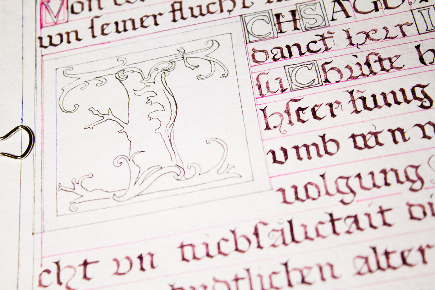 book Calligraphy   Drawing  European illuminated initial manuscript medieval Miniature writing 