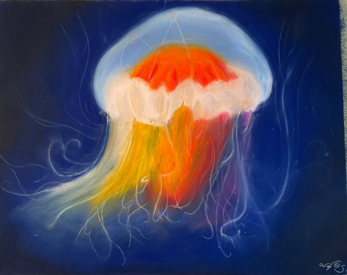 aquarell fugu jellyfish kugelfisch pastel qualle