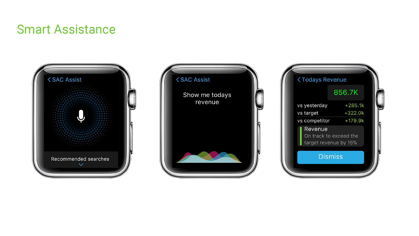 Resume apple watch Wearable app design cloud based SAP user experience process adobeawards
