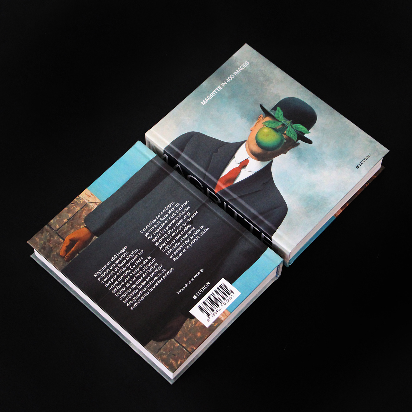 art book book design cover design hardcover Layout magritte Pocket Book typography  
