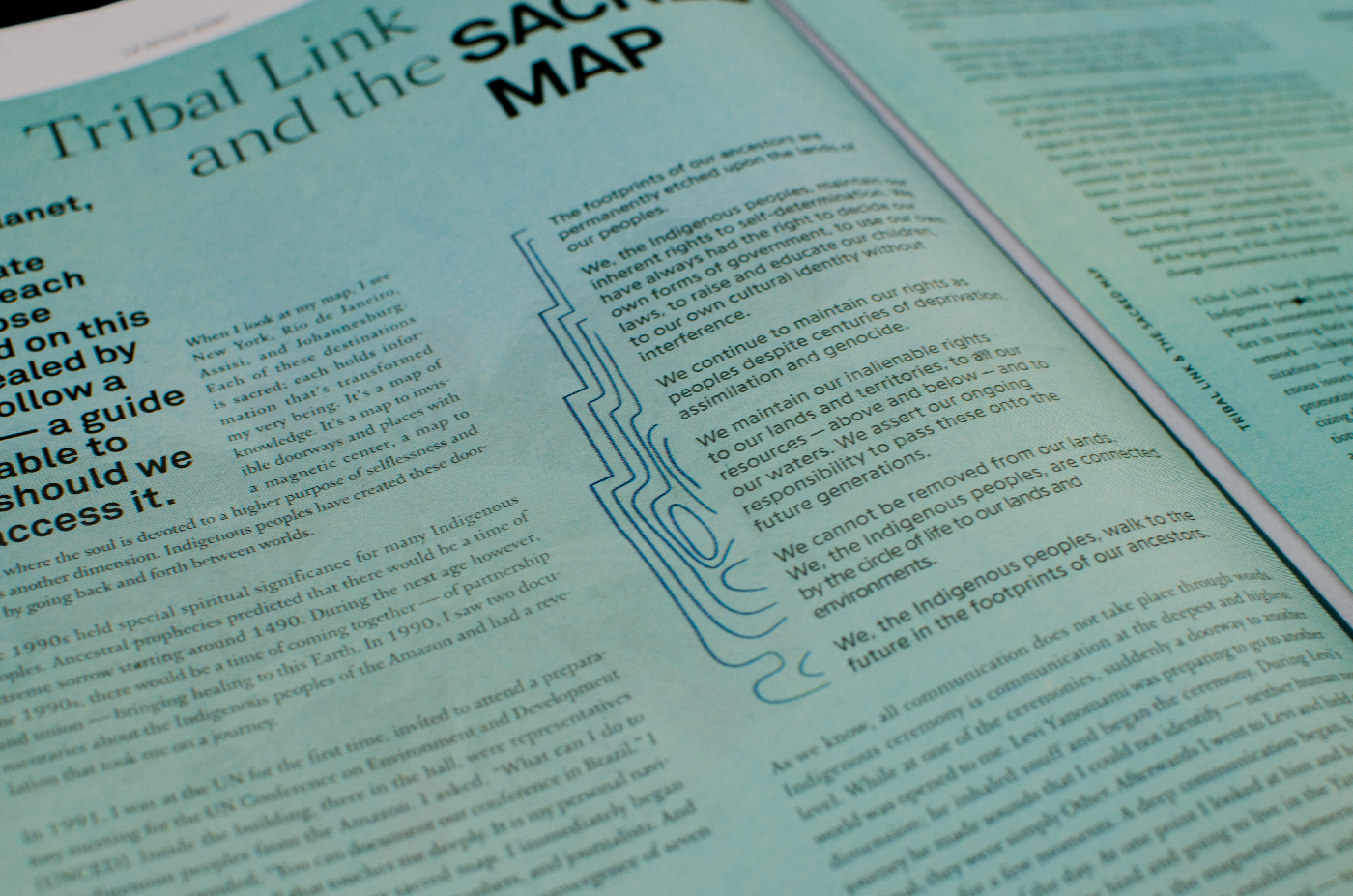 InDesign publication Layout typography   photoshop Illustrator newsprint Metamorphosis Marble terrain