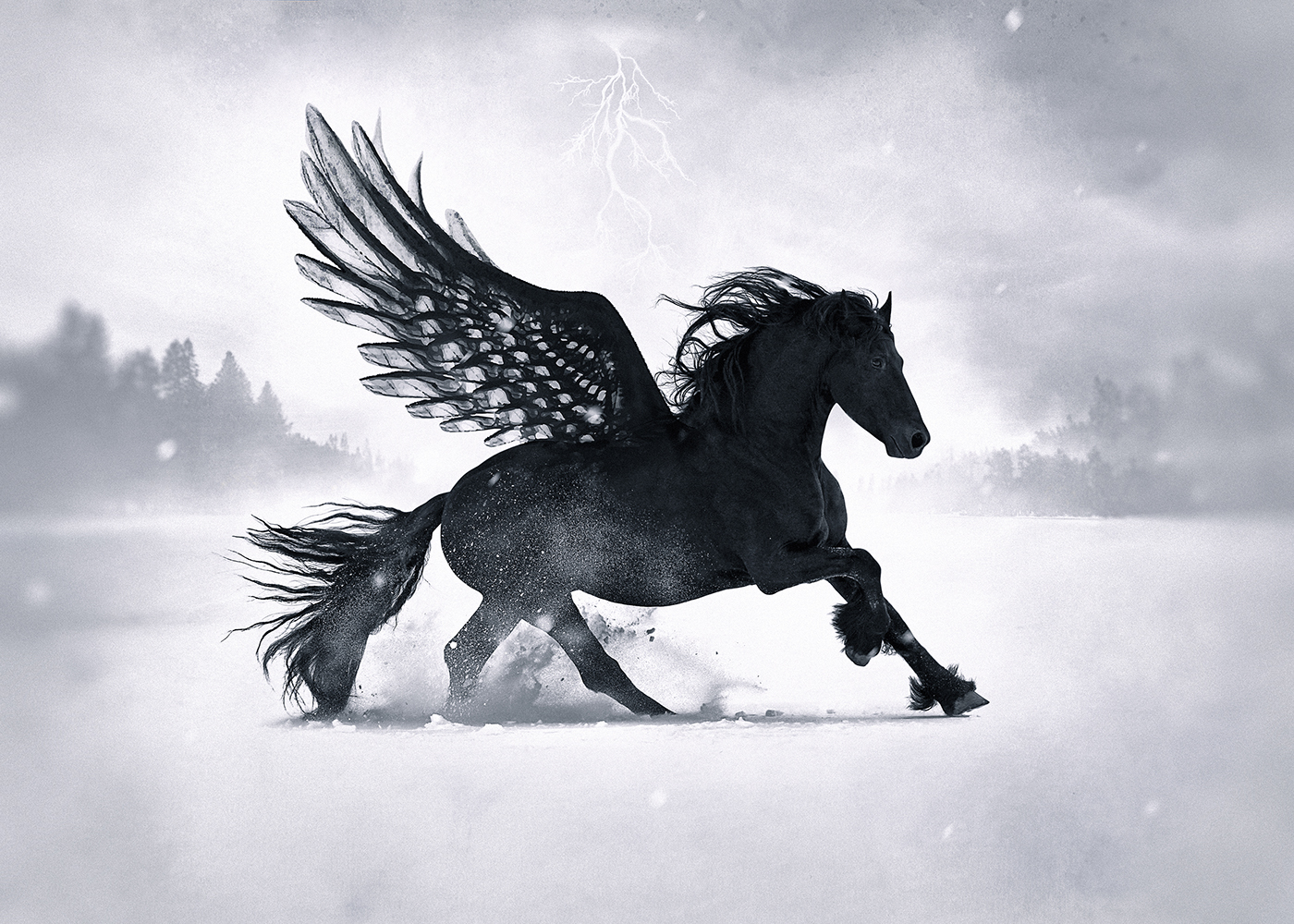 rosario nocera photomanipulation concept art Digital Art  horse pegaso pegasus mythology snow desktopography