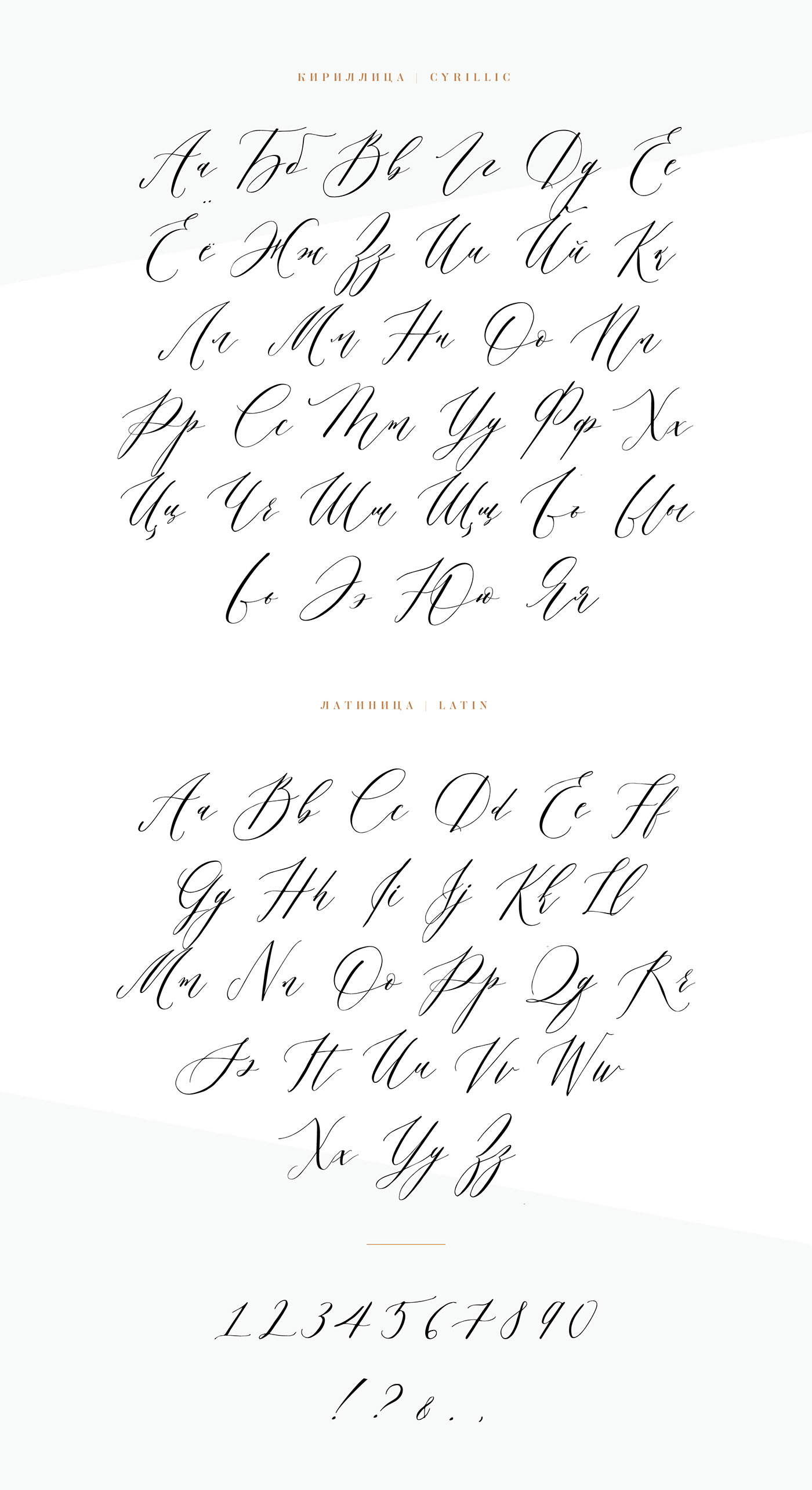 шрифт кириллица каллиграфия Script font Calligraphy   Караван типографика гарнитура Typeface