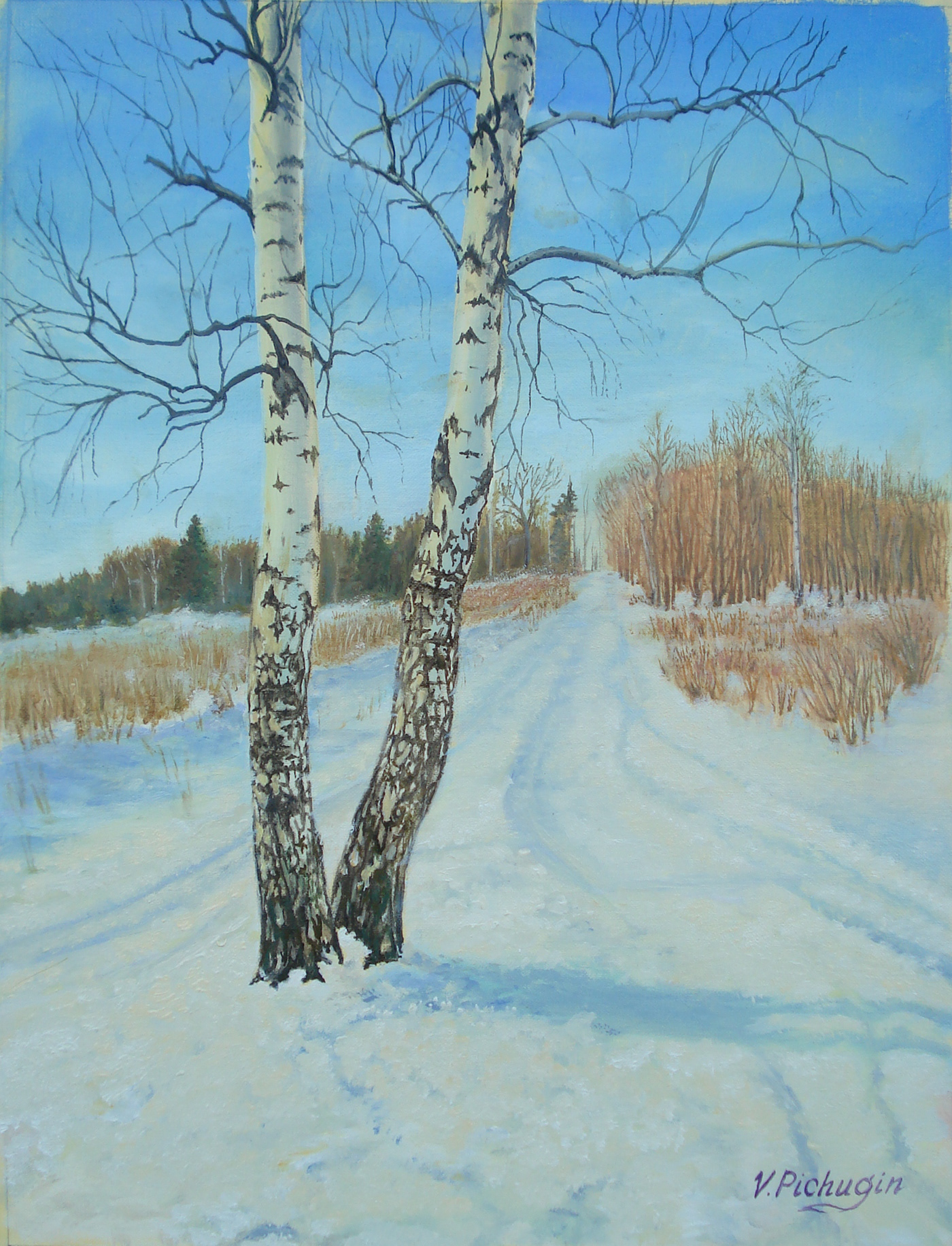 painting   oil birch Tree  Nature