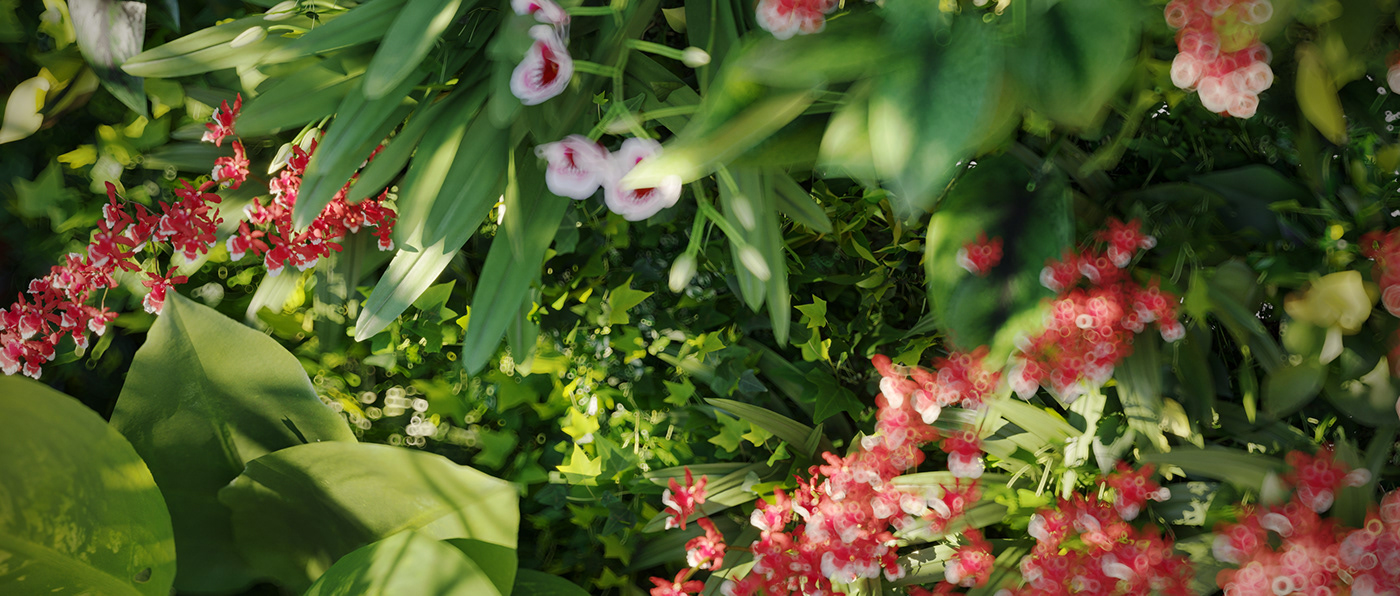 3ds max CGI CoronaRender  dark floral Flowers Nature Photography  photoshoot visualization
