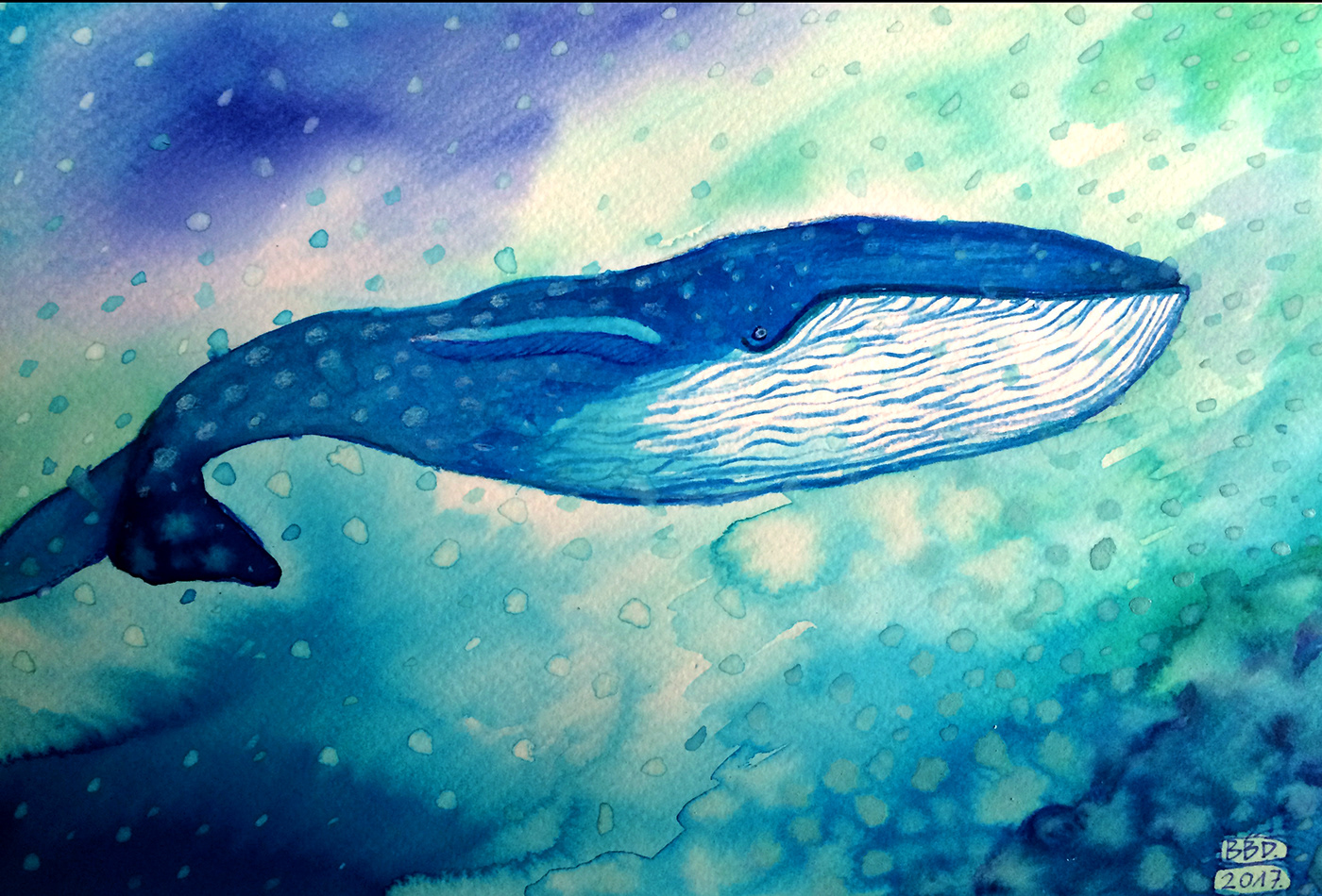 Nature Whale aquarell painting   illustartion