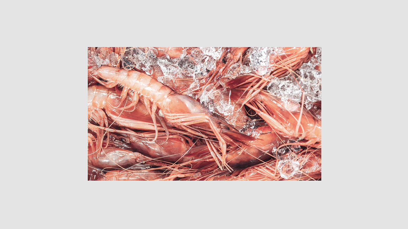 3d render blender brand identity branding  Food Packaging ILLUSTRATION  Illustrator packaging design Procreate shrimp