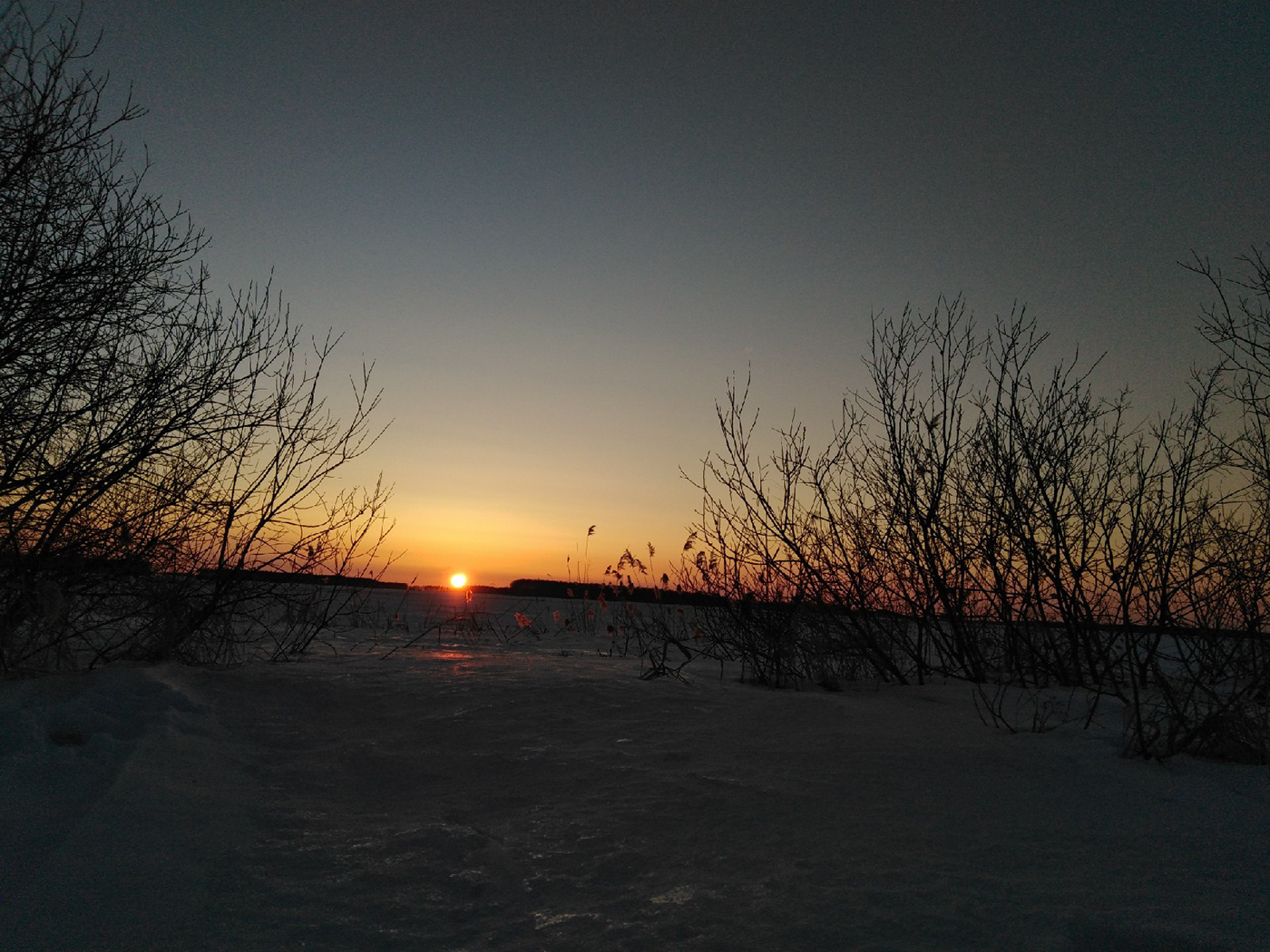 закат солнце небо снег кусты лес зима снежное озеро