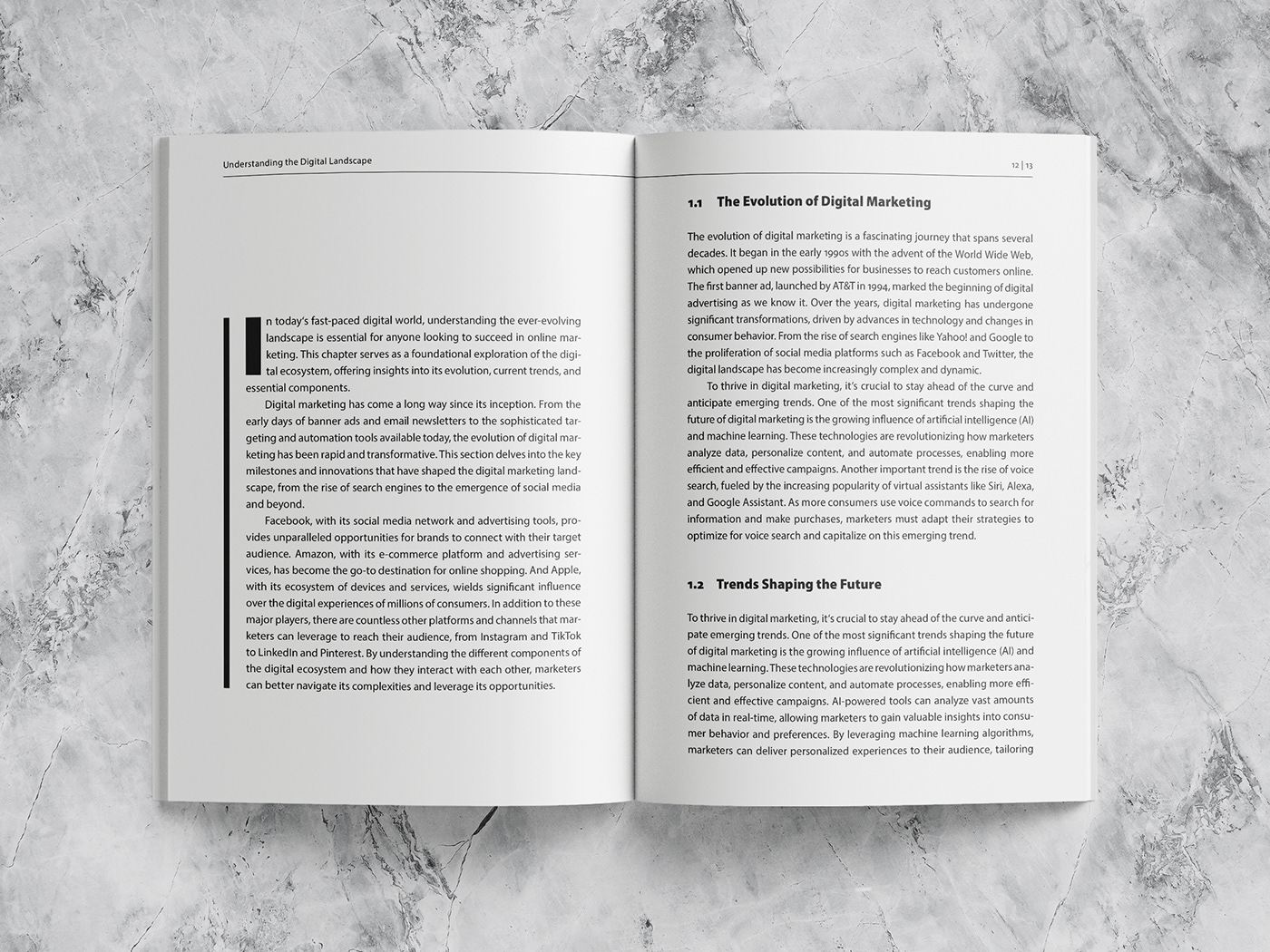 Book mockup – spread: showing the teaser, two subheadings and copy text