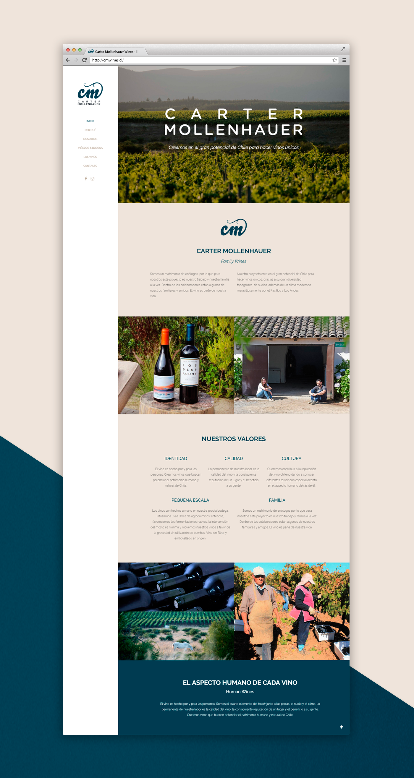 Web Website branding  Wines Responsive corporate site design creative