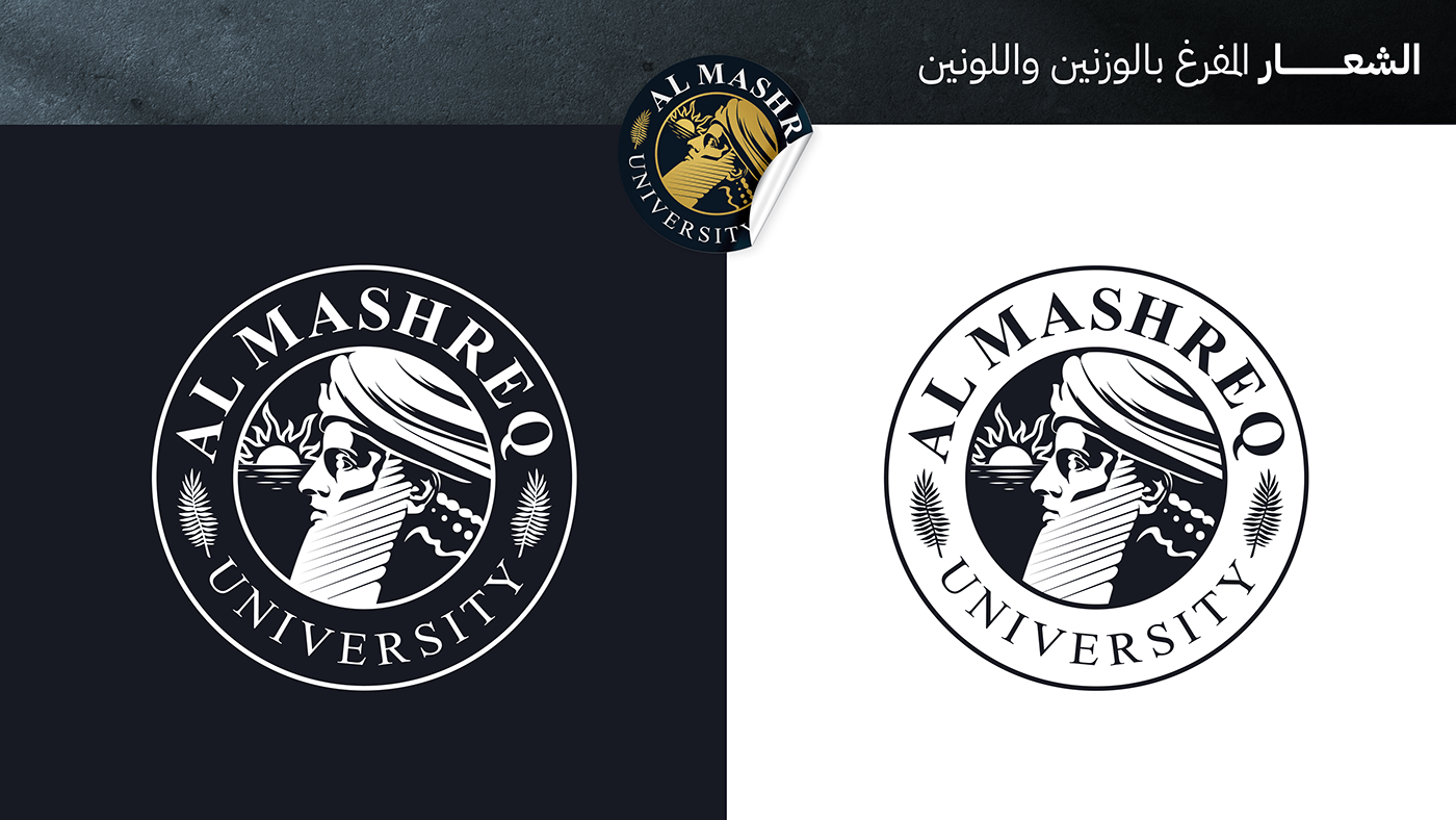adobe illustrator collage graphic Logo Design logos presentation redesign University vector visual identity