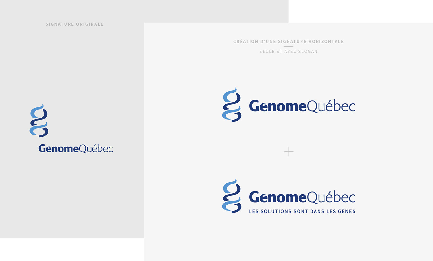 branding  génome québec génomique genomic graphic design  annual report